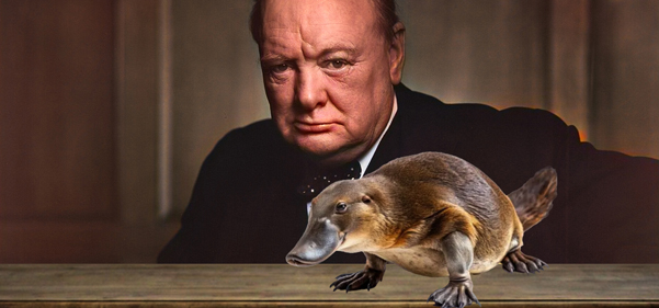 Operation platypus